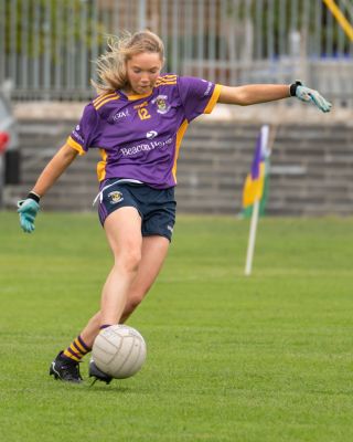 Kilmacud Crokes  Beacon Hospital Ladies Football 7's  Saturday July 23rd