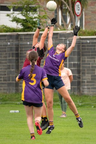 Kilmacud Crokes  Beacon Hospital Ladies Football 7's  Saturday July 23rd