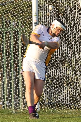 Junior F Hurling Championship versus O'Tooles