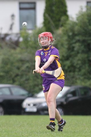 Camogie Go-Ahead Championship Inter vs Ballinteer St Johns