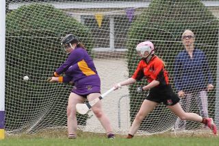 Camogie Go-Ahead Championship Inter vs Ballinteer St Johns