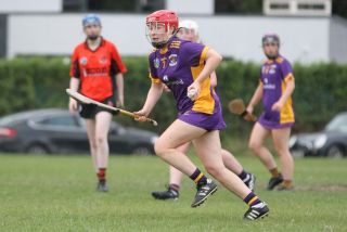 Camogie Go-Ahead Championship Inter vs Ballinteer St Johns