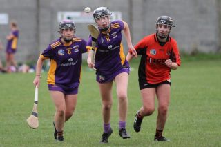 Camogie Go-Ahead Championship Inter vs Ballinteer St Johns