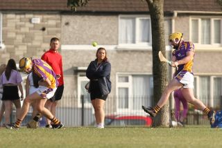 Senior 3 Hurling Championship vs Crumlin