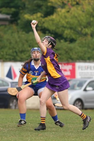 Camogie Go-Ahead Championship Senior 1 vs Castleknock