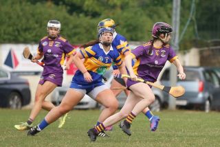 Camogie Go-Ahead Championship Senior 1 vs Castleknock