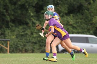Camogie Go-Ahead Championship Senior 1 vs Castleknock