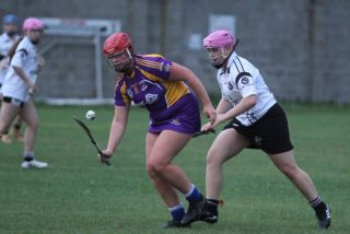 Camogie U18 Championship Division 4 vs Naomh Peregrine