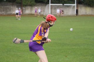 Camogie U18 Championship Division 4 vs Naomh Peregrine