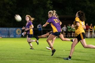 Ladies Football Go-Ahead Junior B Championship Knock Out Stages Final Kilmacud Crokes V St Brendans