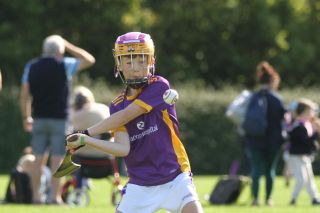 U9 Boys Festival of Hurling 2022