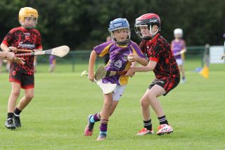 U9 Boys Festival of Hurling 2022
