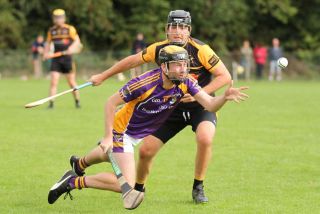 Junior C Hurling Championship Quarter Final vs Wild Geese