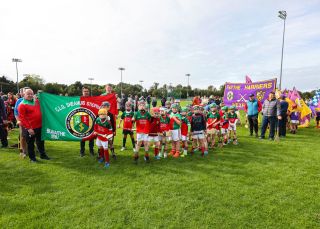 Kilmacud Crokes Festival of Hurling
