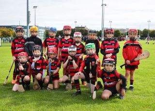 Kilmacud Crokes Festival of Hurling