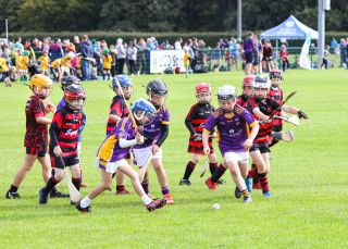 Kilmacud Crokes Festival of Hurling