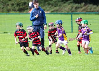 Kilmacud Crokes Festival of Hurling