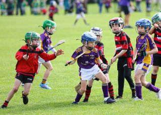 Kilmacud Crokes Festival of Hurling