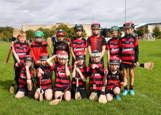 Kilmacud Crokes Festival of Hurling
