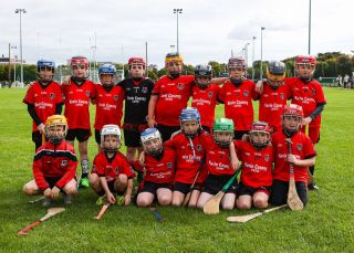 Kilmacud Crokes Festival of Hurling