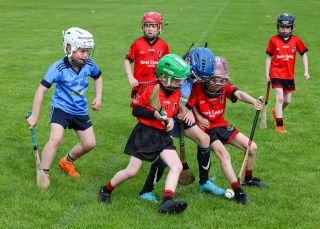Kilmacud Crokes Festival of Hurling