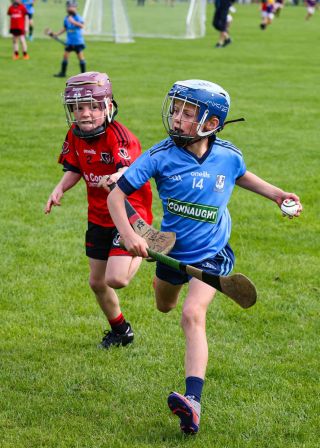 Kilmacud Crokes Festival of Hurling