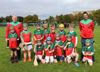 Kilmacud Crokes Festival of Hurling