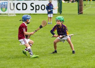 Kilmacud Crokes Festival of Hurling