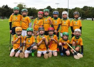 Kilmacud Crokes Festival of Hurling