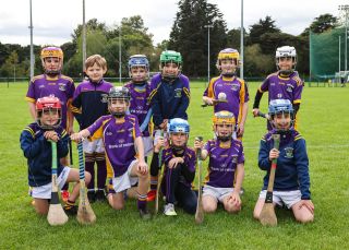 Kilmacud Crokes Festival of Hurling