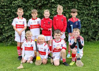 Kilmacud Crokes Festival of Hurling