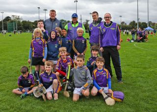 Kilmacud Crokes Festival of Hurling