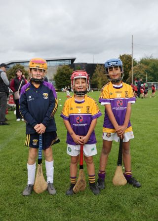 Kilmacud Crokes Festival of Hurling