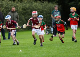 Kilmacud Crokes Festival of Hurling