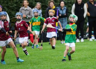 Kilmacud Crokes Festival of Hurling