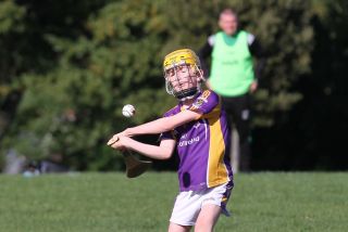 U11 Hurling Gp.1X vs Lucan Sarsfields