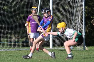 U11 Hurling Gp.1X vs Lucan Sarsfields