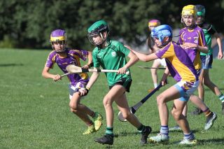 U11 Hurling Gp.1X vs Lucan Sarsfields