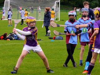 U12 Festival of Hurling 