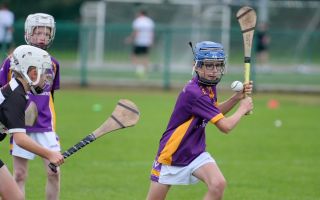 Festival of Hurling Photos (U12)