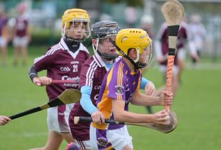 Festival of Hurling Photos (U12)
