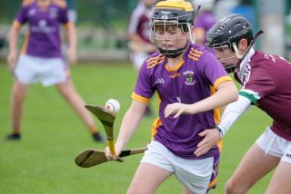 Festival of Hurling Photos (U12)
