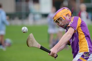 Festival of Hurling Photos (U12)