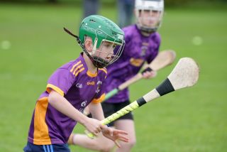 Festival of Hurling Photos (U12)