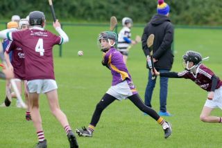Festival of Hurling Photos (U12)