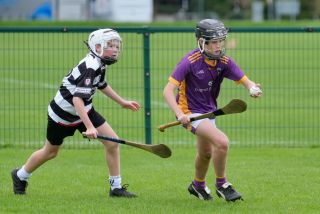 Festival of Hurling Photos (U12)