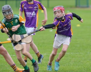 Festival of Hurling Photos (U12)