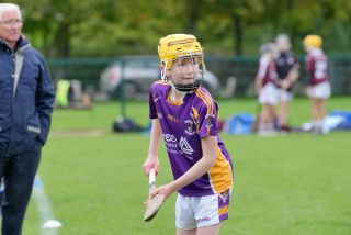 Festival of Hurling Photos (U12)
