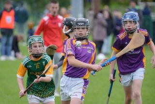 Festival of Hurling Photos (U12)