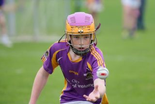 Festival of Hurling Photos (U12)